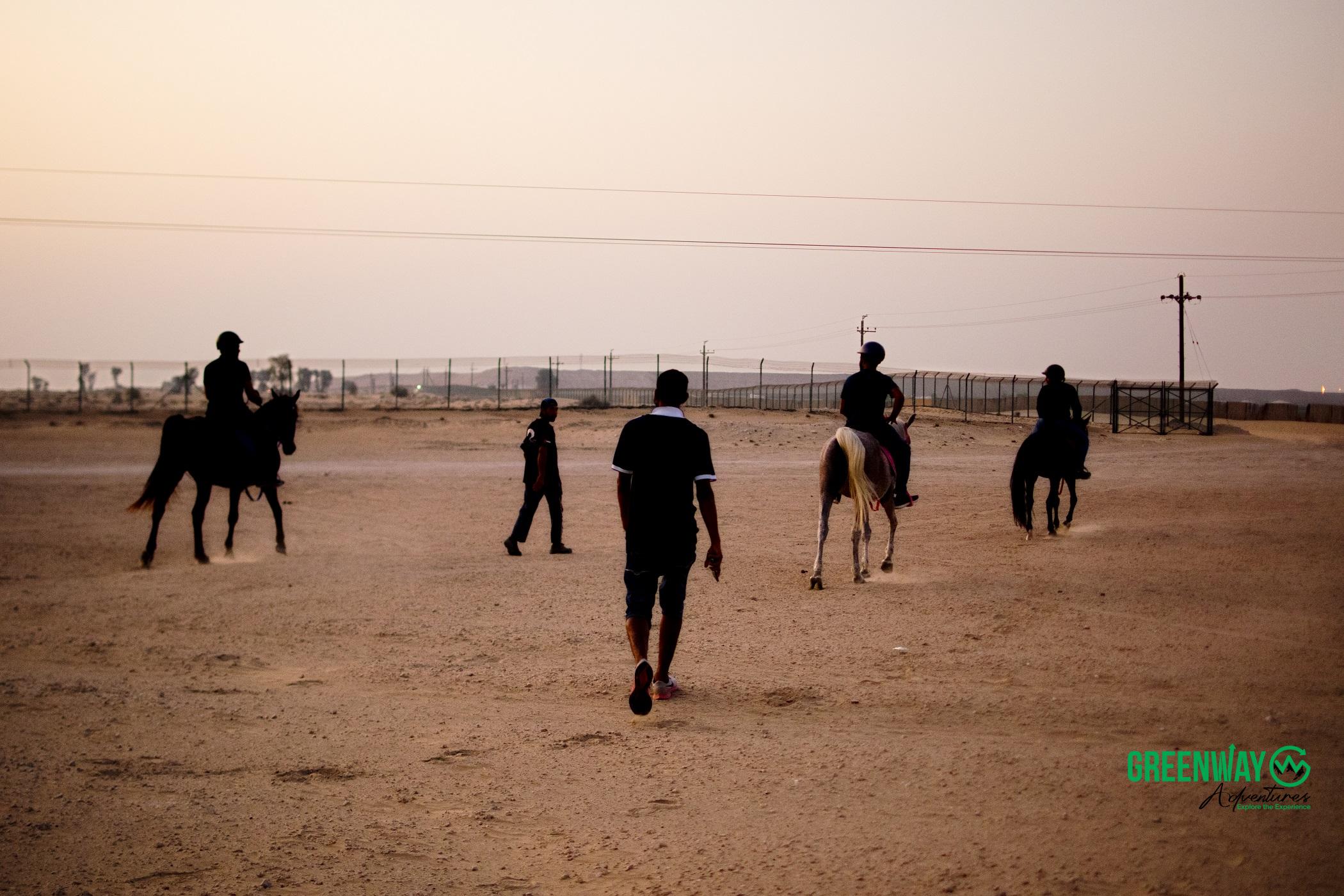 Sunset Horse Riding (150AED Only)