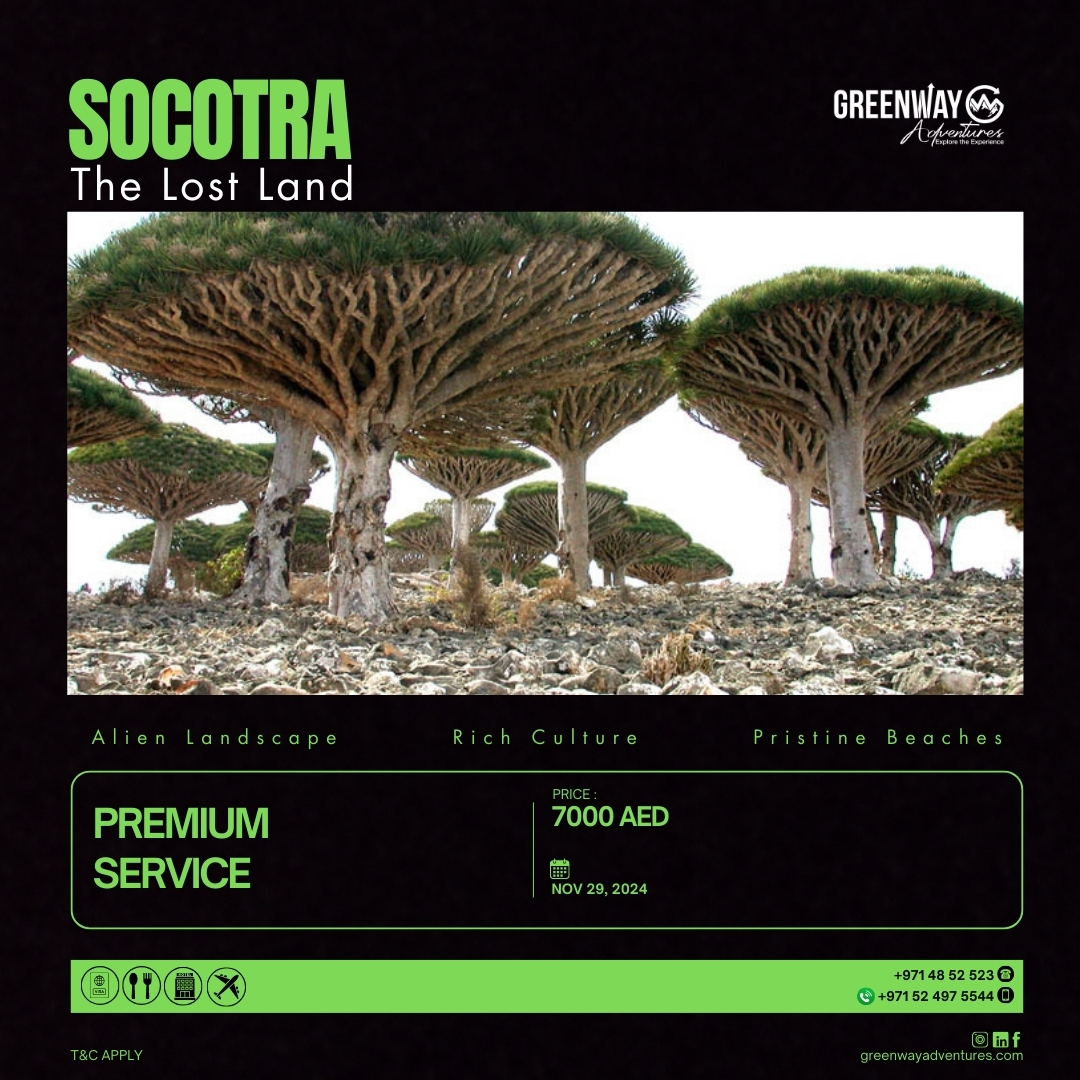 Socotra The Lost Land (The Land of Dragon World) 5 Days